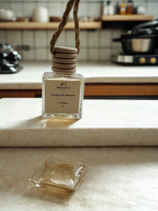 Eucalyptus & Spearmint Car Diffuser